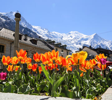 Le printemps dans la Vallée de Chamonix Chamonix Mont Blanc